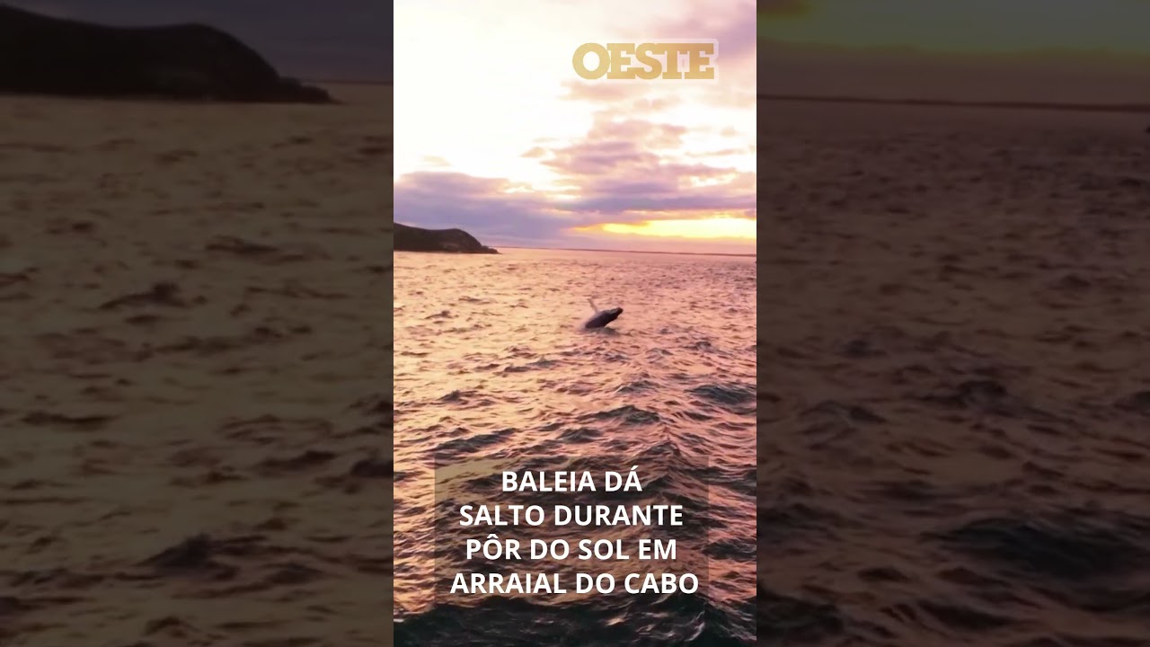 BALEIA DÁ SALTO DURANTE PÔR DO SOL EM ARRAIAL DO CABO (RJ)