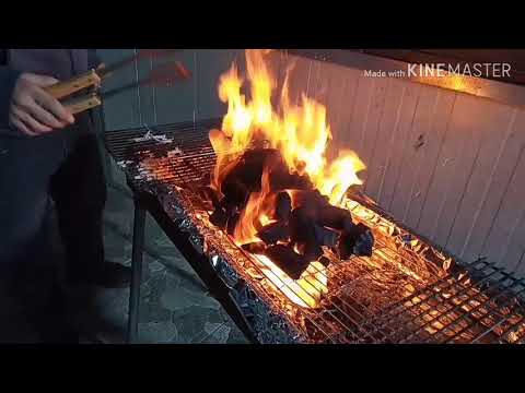 וִידֵאוֹ: איך לבשל ברביקיו על פחם