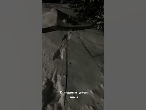 Пушистый помощник визажиста Джек-рассел Ракета😁 - YouTube