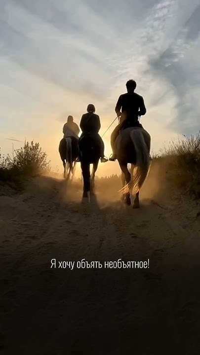 Конные прогулки СПб🤍 - YouTube
