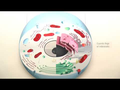 Inauguración Exposición ‘Volver a EmocionArte’ Noticia Informativos 15/04/2021