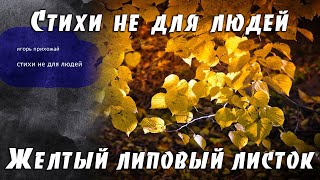 Желтый липовый листок [Стихи не для людей]