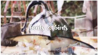 Download Lagu  ❥ 『Tekoa』—  Boats \u0026 Birds MP3
