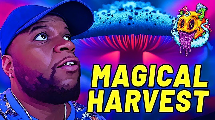 Harvesting Mushrooms Is A Magical Feeling!!!