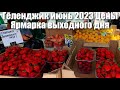 Геленджик июнь 2023 Ярмарка выходного дня Цены