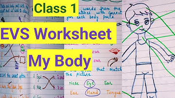 Class 1st EVS my body || EVS Chapter 2 | Worksheet for class 1 EVS
