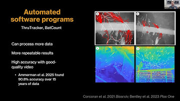 Harnessing AI for Bat Videography Research and Conservation