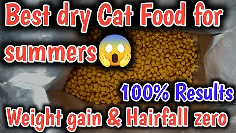 Video 9023621: best persian cat food, cat food review, kitten