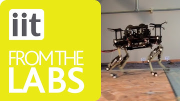 Robotics - Horse-Like Walking, Trotting and Galloping derived from kMPs