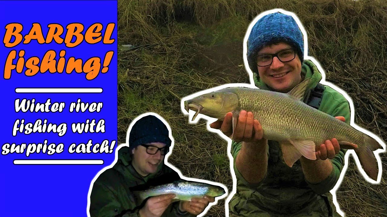 BARBEL FISHING winter tactics for cold water fish! YouTube