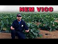 Ne öntözd a növényeket!