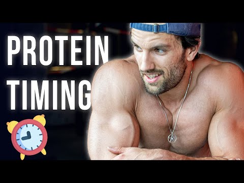 Protein Timing für maximale Hypertrophie (Studien-Analyse)