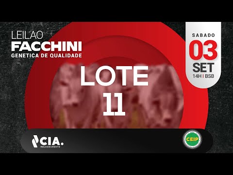 LOTE 11 LEILÃO FACCHINI 2022