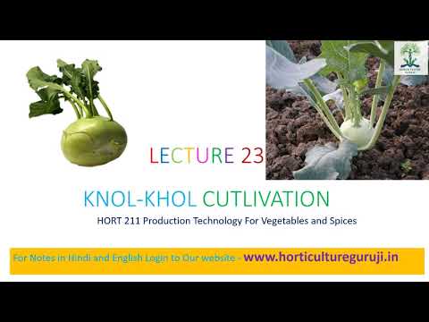 वीडियो: कोहलबी पौधे की किस्में - विभिन्न प्रकार के कोहलबी के बारे में जानें