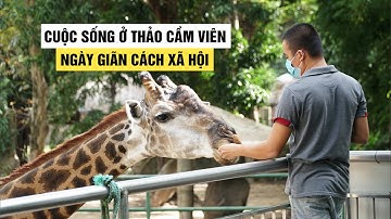 Bầy thú ở Thảo cầm viên Sài Gòn được chăm sóc thế nào những ngày giãn cách?
