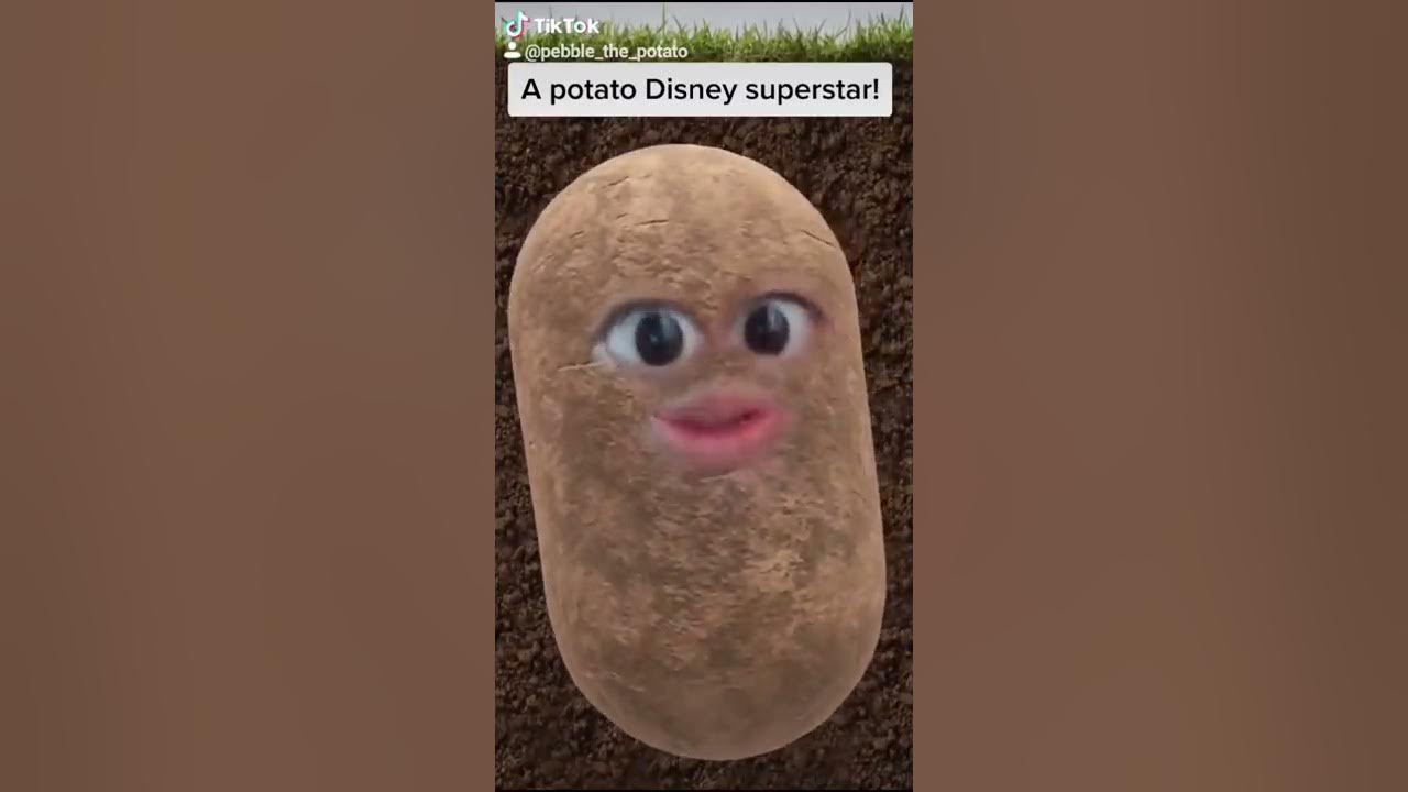 Mad at Disney TikTok by Pebble the Potato [Original]