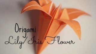 Origami Iris Flower Instructions(NEW VIDEO IN HD: http://www.youtube.com/watch?v=8mo78XPtaIc Follow me on Facebook to be the first to know what my next video will be!, 2008-12-06T09:39:54.000Z)