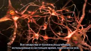 AlphaBrain - ноотроп нового поколения(Промо - видео революционного продукта Onnit Labs - Alpha-Brain., 2012-05-02T14:26:35.000Z)