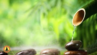 🔴 Relaxing Zen Music 24/7, Stress Relief Music, Sleep Music, Meditation Music, Study, Flowing Stream screenshot 1