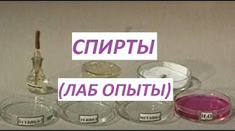 Экспериментальная часть