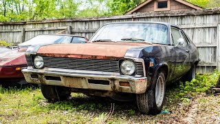 We Bought a '69 NOVA!