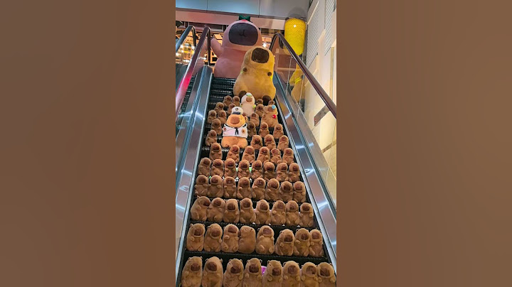 When Capybara fell, was there really no one to help him? #PlushToy #Capybara #CapybaraDoll #shorts