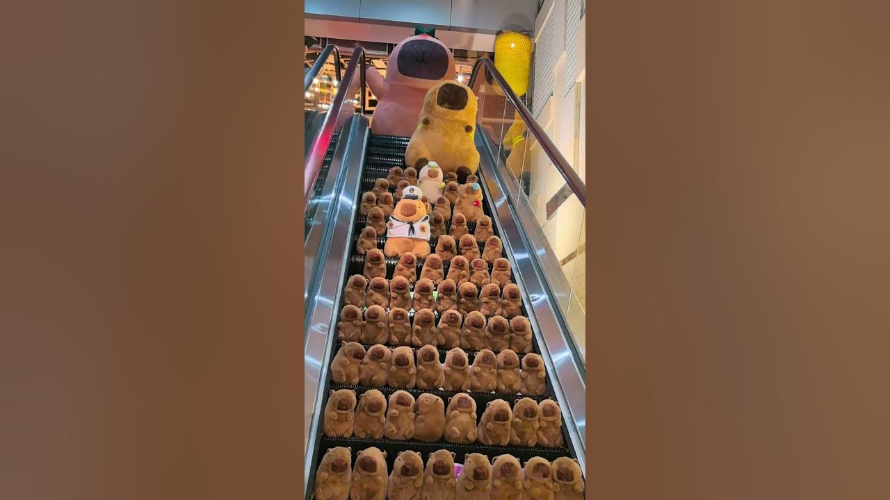 When Capybara fell, was there really no one to help him? #PlushToy #Capybara #CapybaraDoll #shorts
