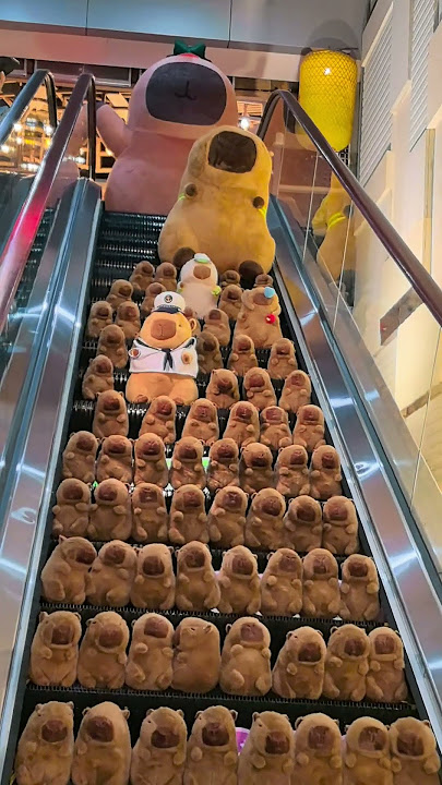 When Capybara fell, was there really no one to help him? #PlushToy #Capybara #CapybaraDoll #shorts