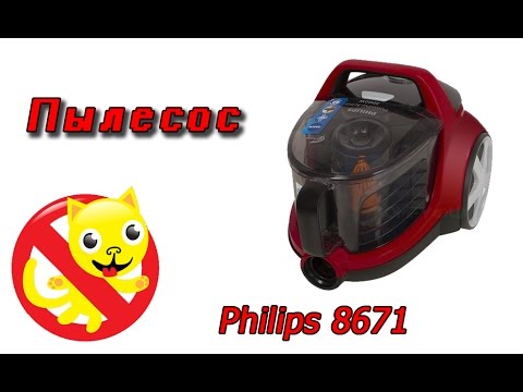 Обзор пылесоса Philips 8671
