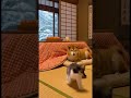 ちょ待てワン!どんだけ~こたつから飛び出す猫たち