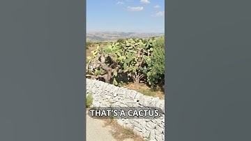 OpenGuessr, Exploring the European Union! #gaming #geoguessr #Greece #Italy #Europe #EU