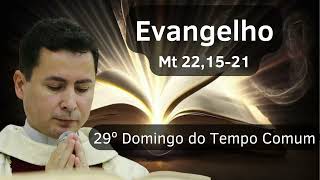 29th Sunday in Ordinary Time | SundayHomily | 10/18/2026