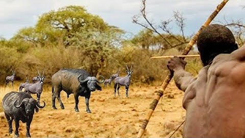 Hadzabe Tribe  The Life Of The Hunter Full Documentary  African Life Style