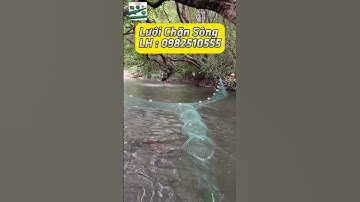 Lưới chặn sông suối dòng nước chảy . Cao 2m x 10m - cao 2m x 15m và 2m x 20m liên hệ 0982510555