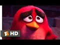 The Angry Birds Movie - Dynamite Defeat Scene | Fandango Family