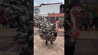 Así Bailan LOS GUAJOLOTES 🦃 en los Pueblos de Oaxaca