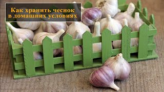 Как сохранить чеснок зимой чтобы не высох