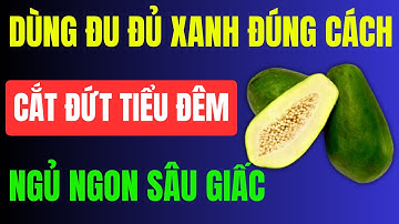 Người Suy Thận: Dùng Đu Đủ Xanh Theo Cách Này – Hết Tiểu Đêm, Ngủ Ngon Đến Sáng