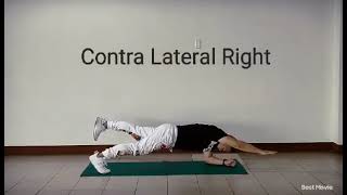 modified elbow plank