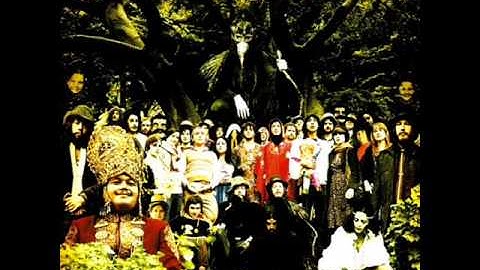 Devendra Banhart - When They Come