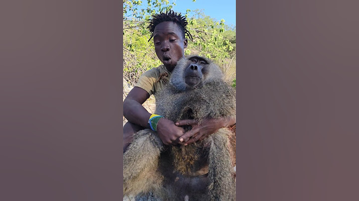 look at the hadzaabe baboon catcher