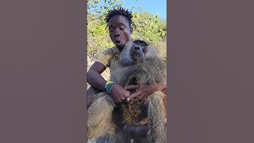 look at the hadzaabe baboon catcher