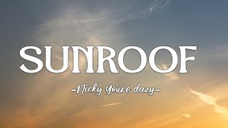 Nicky Youre, dazy - Sunroof (Lyrics)