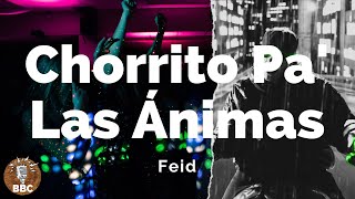 🍺💃🎤 Feid - CHORRITO PA' LAS ANIMAS - Letra / Lyric 📃🎧