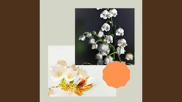 Tremendous Ambiance for Lazy Days