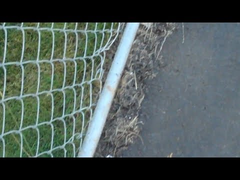 Natural Way To Kill Moss On Sidewalks Natural Way To Kill Moss On Sidewalks