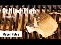 【Weber Pulse】魚の焼き方【スマートグリルの使い方】