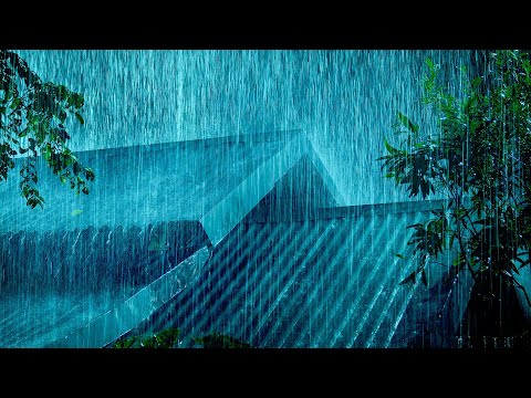 بدون إعلانات نم بسرعة مع أصوات المطر والرعد المهدئة أصوات العواصف الرعدية لنوم عميق طوال الليل