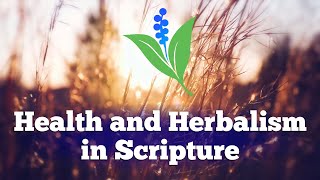 5 Biblical Facts About Herbs in The Lost Scriptures - Healthy Habits