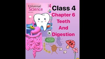Teeth and digestion | Science class 4 chapter 6 | Universal Science |#cbse  India #science#دندان